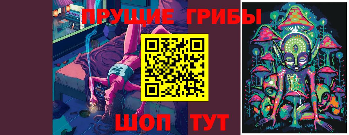 Нурлат  Псилоцибиновые грибы Psilocybine cubensis  Вход с VPN 